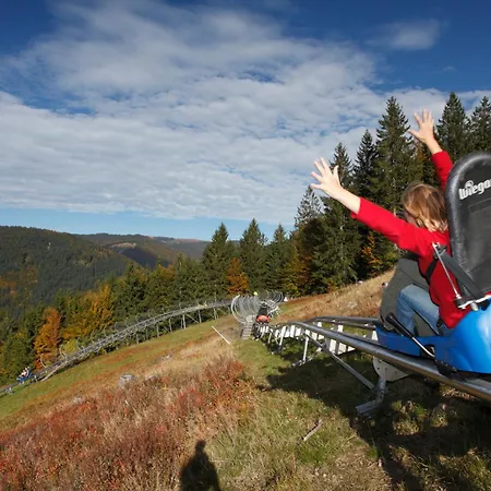 Drei Tannen - 05 - Apartmenthaus, Titisee, Nahe Badeparadies Lägenhet