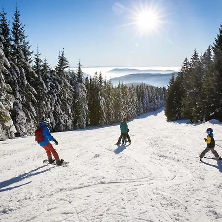 Lägenhet Drei Tannen - 05 - Apartmenthaus, Titisee, Nahe Badeparadies *