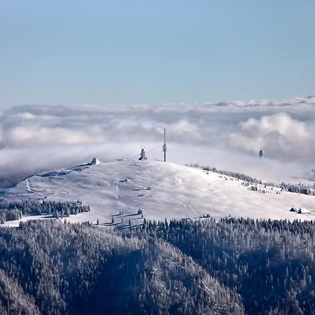 Drei Tannen - 05 - Apartmenthaus, Titisee, Nahe Badeparadies