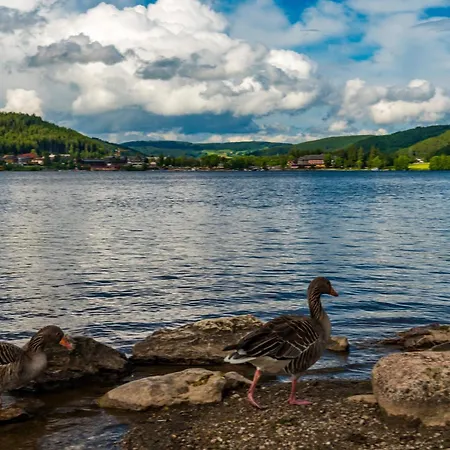 Drei Tannen - 05 - Apartmenthaus, Titisee, Nahe Badeparadies Lägenhet