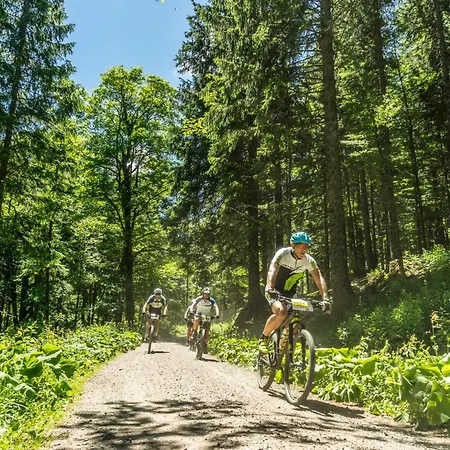 Lägenhet Drei Tannen - 05 - Apartmenthaus, Titisee, Nahe Badeparadies *