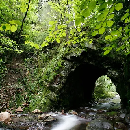 Drei Tannen - 05 - Apartmenthaus, Titisee, Nahe Badeparadies *