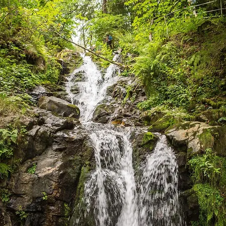 Drei Tannen - 05 - Apartmenthaus, Titisee, Nahe Badeparadies Titisee-Neustadt