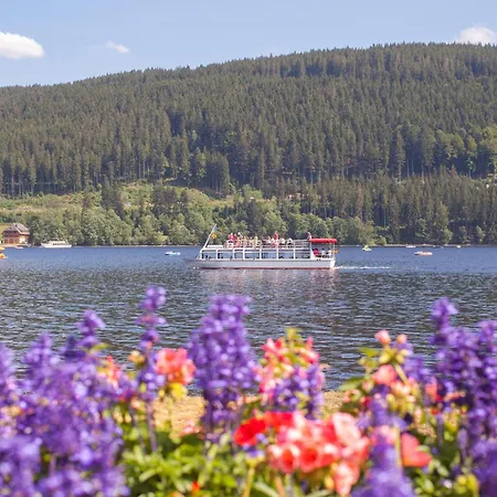 Lägenhet Drei Tannen - 05 - Apartmenthaus, Titisee, Nahe Badeparadies