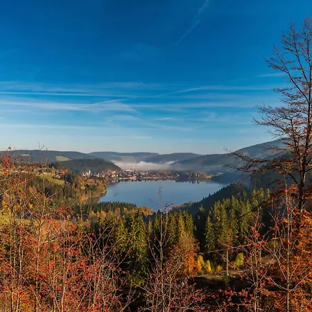 Drei Tannen - 05 - Apartmenthaus, Titisee, Nahe Badeparadies *